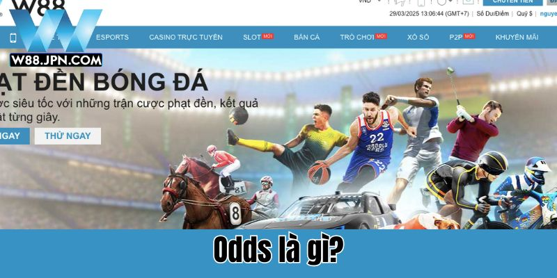 Odds là gì? Toàn tập về tỷ lệ cược W88 cho newbie 1 ODDS là gì?
