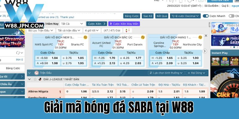 Bóng đá SABA: Hướng dẫn toàn diện đấu trường W88 2 Bóng đá SABA W88
