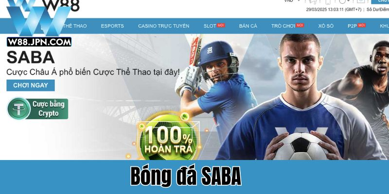 Bóng đá SABA: Hướng dẫn toàn diện đấu trường W88 1 Bóng đá SABA