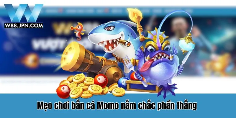 Bắn Cá Momo Fishing - Hướng Dẫn Săn Cá Hiệu Quả Từ Cao Thủ Cá Cược 6 Momo Fishing W88