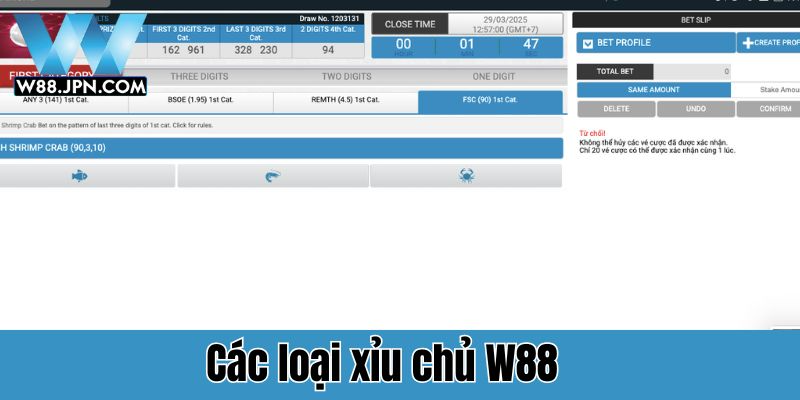 Xỉu chủ là gì? toàn tập cách chơi & bí kíp dự đoán hiệu quả 3 Xỉu chủ là gì? W88